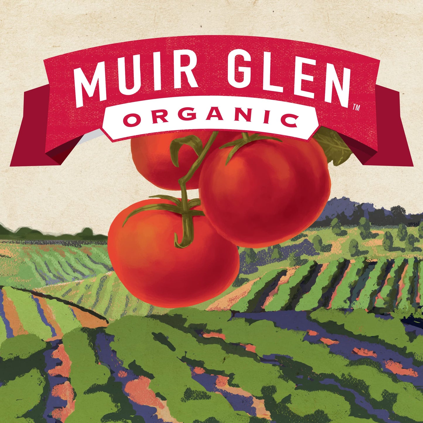 Muir Glen Organic Diced Fire Roasted Canned Tomatoes, 28 oz. (Pack of 4)