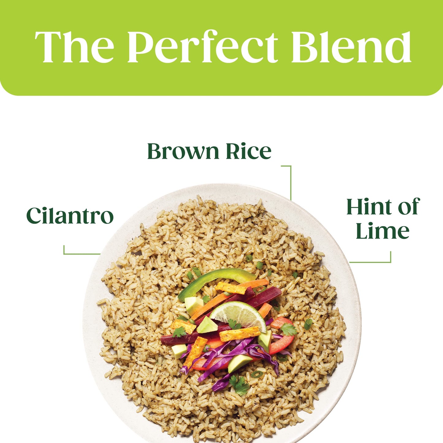 SEEDS OF CHANGE Organic Brown Jasmine Rice with Cilantro Lime, Organic Food, 8.5 OZ Pouch