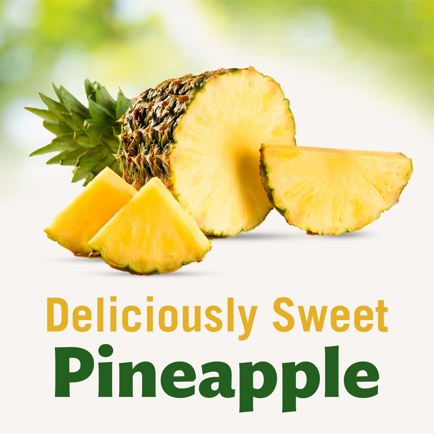 Pineapple Slices in 100% Juice, Canned Fruit, 20 oz Can