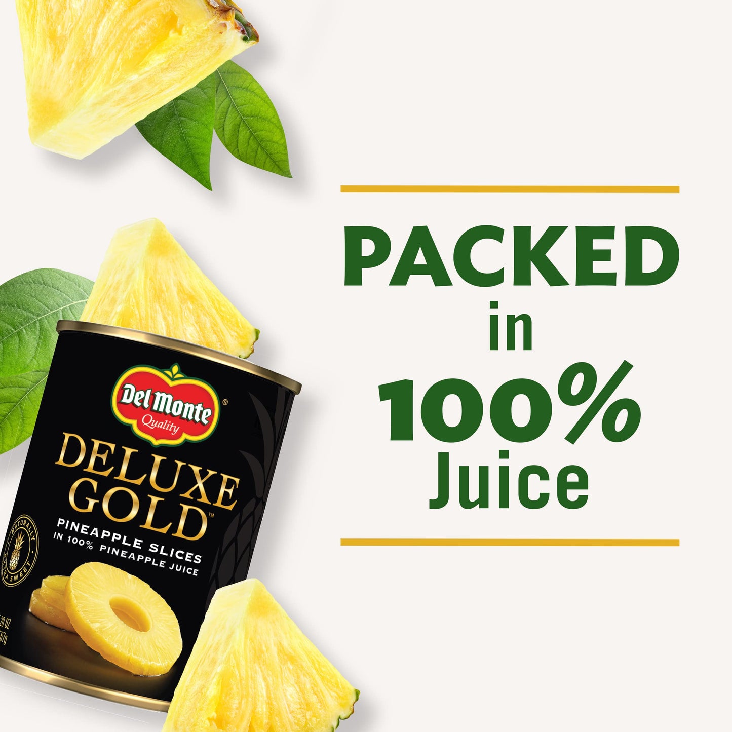 Pineapple Slices in 100% Juice, Canned Fruit, 20 oz Can